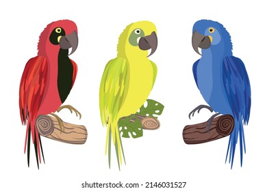 Cute cartoon Ara parrot on branch. Vector illustration for invitations, card, poster. Summer exotic  print. Tropical parrot icon. 