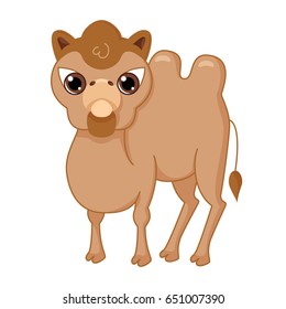 Cute cartoon arrogant camel. Isolated on white background.