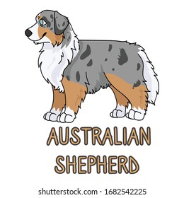  Cute cartoon australian shepherd dog breed with text word print vector clipart. Pedigree kennel doggie breed for dog lovers. Purebred dog for pet partlor illustration. Isolated hunting hound. EPS 10.