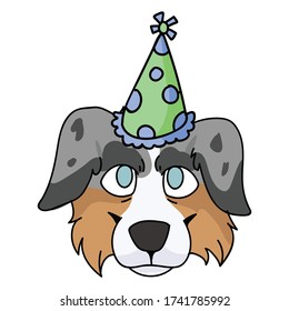 Cute cartoon australian shepherd dog face with party hat vector clipart. Pedigree kennel doggie breed for dog lovers. Purebred domestic for celebration illustration mascot. Isolated canine hunting.