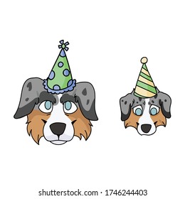 Cute cartoon australian shepherd dog and puppy face with party hat vector clipart. Pedigree kennel doggie for dog lovers. Purebred domestic for celebration illustration mascot. Isolated canine hunting