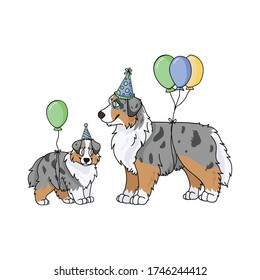 Cute cartoon australian shepherd dog and puppy with party hat vector clipart. Pedigree kennel doggie for dog lovers. Purebred domestic for celebration illustration mascot. Isolated canine hunting.