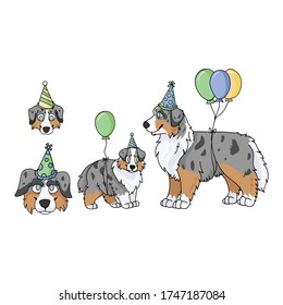 Cute cartoon australian shepherd dog party set vector clipart. Pedigree kennel doggie breed for dog lovers. Purebred domestic for celebration illustration mascot. Isolated canine hunting.