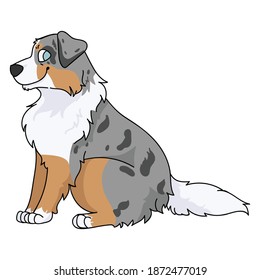 Cute cartoon Australian Shepherd dog sitting, vector clipart. Pedigree kennel doggie breed for kennel club. Purebred domestic puppy training for pet parlor illustration mascot. Isolated canine hunting.