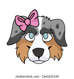 Cute cartoon australian shepherd with pink face bow vector clipart. Pedigree kennel doggie breed for dog lovers. Purebred domestic for pet parlor puppy illustration mascot. Isolated English hunting.