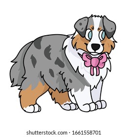 Cute cartoon australian shepherd puppy with pink bow vector clipart. Pedigree kennel doggie breed for dog lovers. Purebred domestic for pet parlor illustration mascot. Isolated canine English hunting.
