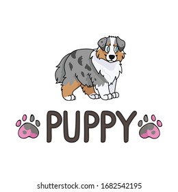 Cute cartoon australian shepherd puppy with text word and paw print vector clipart. Pedigree kennel doggie breed for dog lovers. Purebred dog for pet partlor illustration. Isolated hunting hound. 