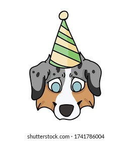 Cute cartoon australian shepherd puppy face with party hat vector clipart. Pedigree kennel doggie breed for dog lovers. Purebred domestic for celebration illustration mascot. Isolated canine hunting.