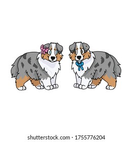 Cute cartoon australian shepherd puppy boy and girl vector clipart. Pedigree kennel doggie breed for dog lovers. Purebred domestic for pet parlor illustration mascot. Isolated canine English hunting.