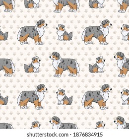 Cute cartoon Australian Shepherd sitting vector clipart. Pedigree kennel dog breed for obedience training. Purebred domestic puppy for dog show illustration mascot. Isolated canine hunting breed. 