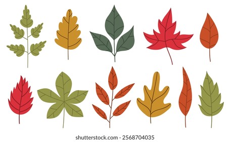 Cute cartoon autumn leaves collection. Cozy fall leaf set. Autumn tree branches design elements in simple flat style.