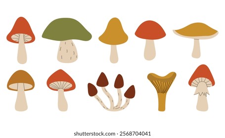 Cute cartoon autumn mushrooms collection. Fall forest mushrooms harvest in simple flat style. 