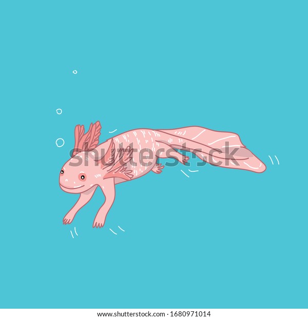 Cute Cartoon Axolotl Drawing On Blue Stock Vector Royalty Free Cute Cartoon Axolotl Drawing On Blue Stock Vector Royalty Free