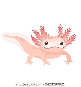 Cute cartoon axolotl pink color amphibian animal vector illustration isolated on white background