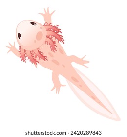 Dibujo lindo caricatura axolotl color rosa anfibio ilustración del vector animal aislado en fondo blanco