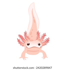 Cute cartoon axolotl pink color amphibian animal vector illustration isolated on white background