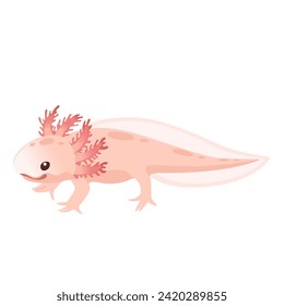 Dibujo lindo caricatura axolotl color rosa anfibio ilustración del vector animal aislado en fondo blanco