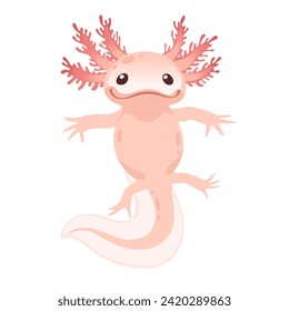 Cute cartoon axolotl pink color amphibian animal vector illustration isolated on white background