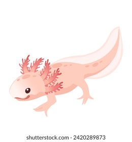 Cute cartoon axolotl pink color amphibian animal vector illustration isolated on white background