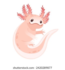 Cute cartoon axolotl pink color amphibian animal vector illustration isolated on white background