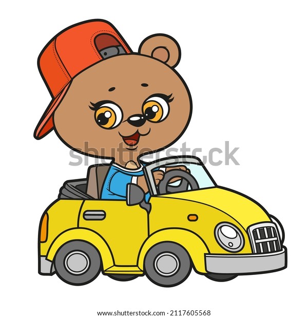 Cute cartoon baby bear ride in\
little car color variation for coloring on a white\
background