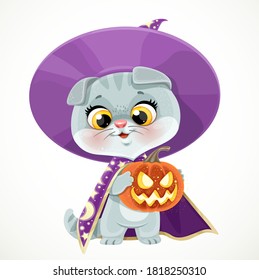 Cute cartoon baby cat in the wizard's hat and cloak with Halloween pumpkin isolated on a white background