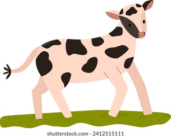 Cute cartoon baby cow standing on green grass, spotted calf looking forward. Farm animal character, young domestic cattle in cute design vector illustration.