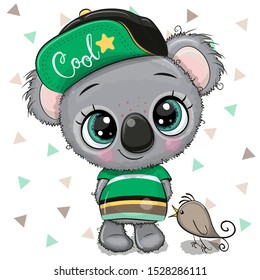 Cute Cartoon baby Koala in a cap with bird on a white background