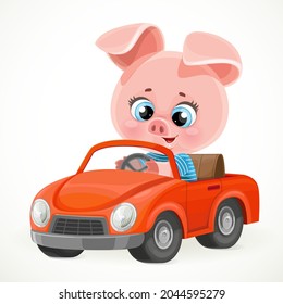 Cute cartoon baby pig rides a red little toy car for children isolated on white background
