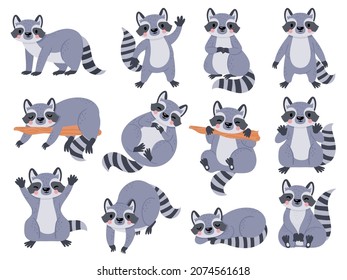 Cute cartoon baby raccoon sleeping, standing and waving. Funny raccoons poses. Happy forest animal character, racoon kids mascot vector set. Adorable pet in various poses isolated on white