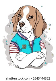 Cute cartoon beagle dog in a blue stylish vest. Portrait of a dog. Stylish image for printing on any surface