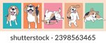 Cute Cartoon Beagle Dog set, Cartoon Dog Character Design with Flat Colors in Various Poses	