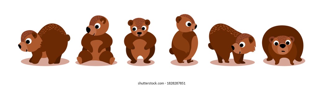 Cute cartoon bears collection. Funny woodland characters isolated on white background. Vector illustration.