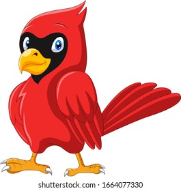 Cute cartoon beautiful cardinal bird