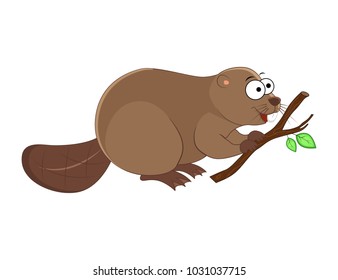 Cute cartoon beaver with branch in his hands. Vector illustration isolated on white background.