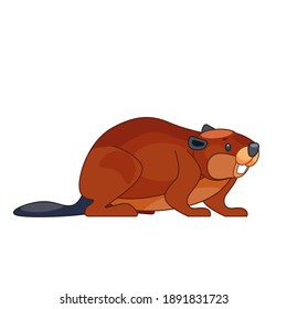 Cute cartoon beaver in flat style vector illustration isolated on white background.