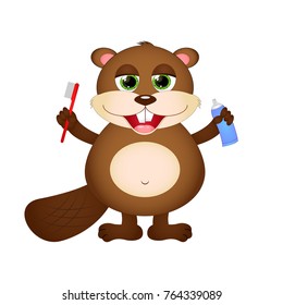 Cute cartoon beaver with toothbrush and toothpaste in hands. Vector illustration isolated on white background.