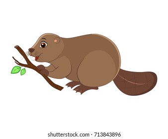 Cute cartoon beaver. Vector illustration isolated on white background. Animals of north America.