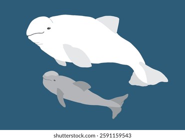 Cute Cartoon Beluga Whale. Arctic, Polar sea animal. Creature image icon. Vector Illustration.