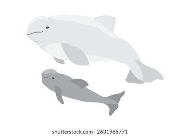 Bela Baleia Beluga. Ártico, animal marinho polar. Ícone de imagem de criação. Ilustração de vetor.