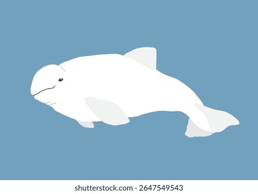 Bela Baleia Beluga. Ártico, animal marinho polar. Ícone de imagem de criação. Ilustração de vetor.