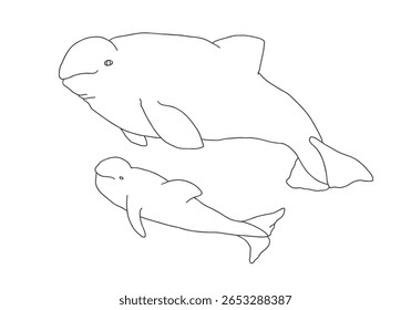 Bela Baleia Beluga. Ártico, animal marinho polar. Ícone de doodle do contorno da imagem de criação. Ilustração de vetor.