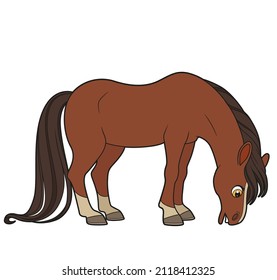 Cute cartoon big horse nibbling grass color variation isolated on white background