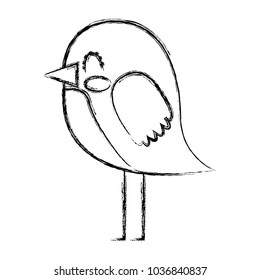 cute cartoon bird animal beauty image