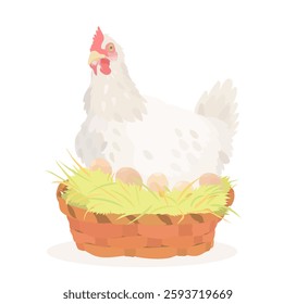 Cute cartoon Bird. Vector illustration of Chicken (Hen), eggs and chick isolated on white background. 