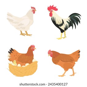 Cute cartoon birds collection. Vector illustrations of chicken, chicks, eggs, hen and rooster on white background. Set of poultry clip.