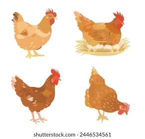 Cute cartoon birds collection. Vector illustrations of brown Chicken, Hen isolated on white background. Set of poultry clip.