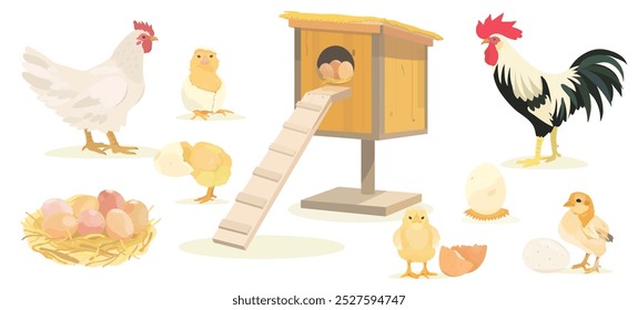 Linda colección de pájaros de dibujos animados. Ilustraciones de la familia del Vector de pollo, gallina, pollitos, huevos y gallo sobre fondo blanco.