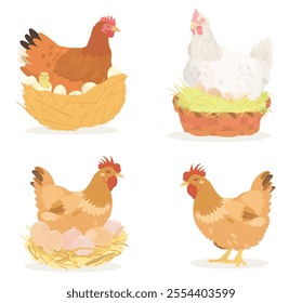 Cute cartoon birds collection. Vector illustrations of brown Chicken, Hen isolated on white background. Set of poultry clip.