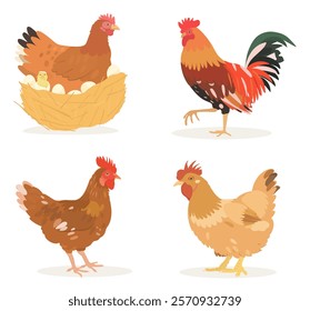 Coleção de pássaros de desenhos animados bonitos. Ilustrações vetoriais de frango marrom, pintos, ovos, galinha e galo isolado no branco. Conjunto de clipe de aves.